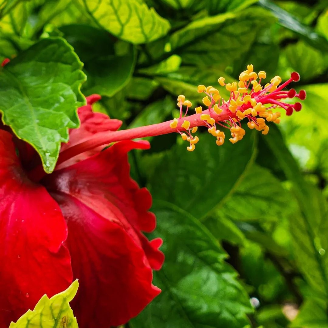 photography image